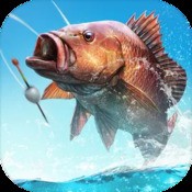 澳门大红鹰六尾中特