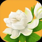 本港台同步开将app